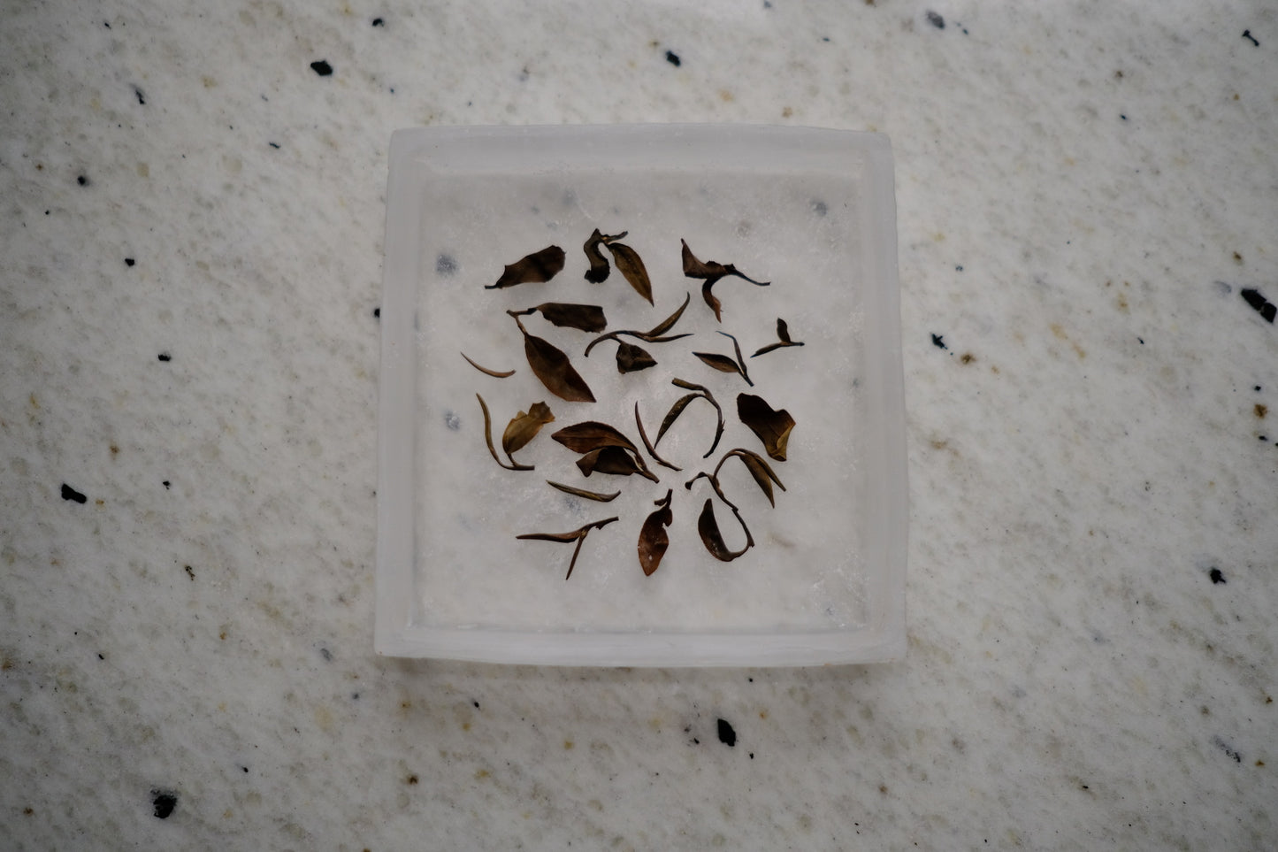Oriental Beauty oolong tea leaves Hsinchu Taiwan jassid oxidation