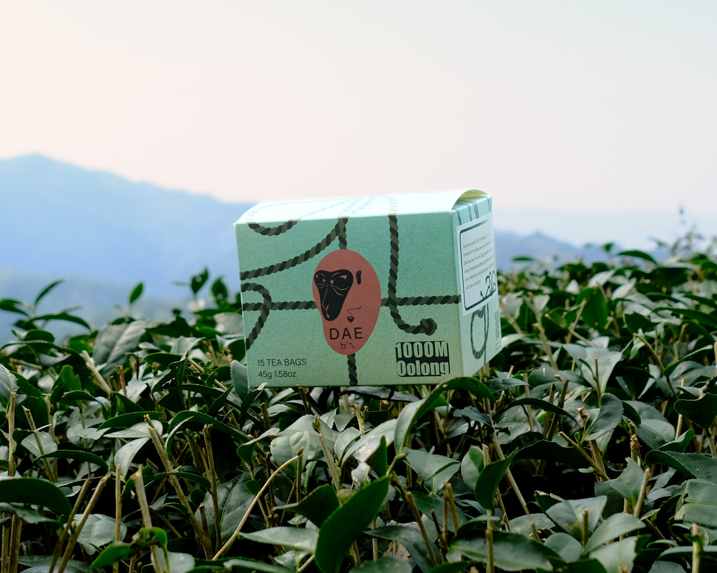 1000米烏龍茶