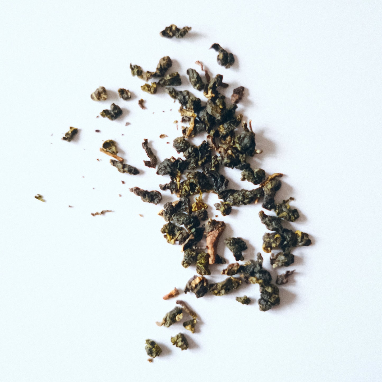 1000米烏龍茶
