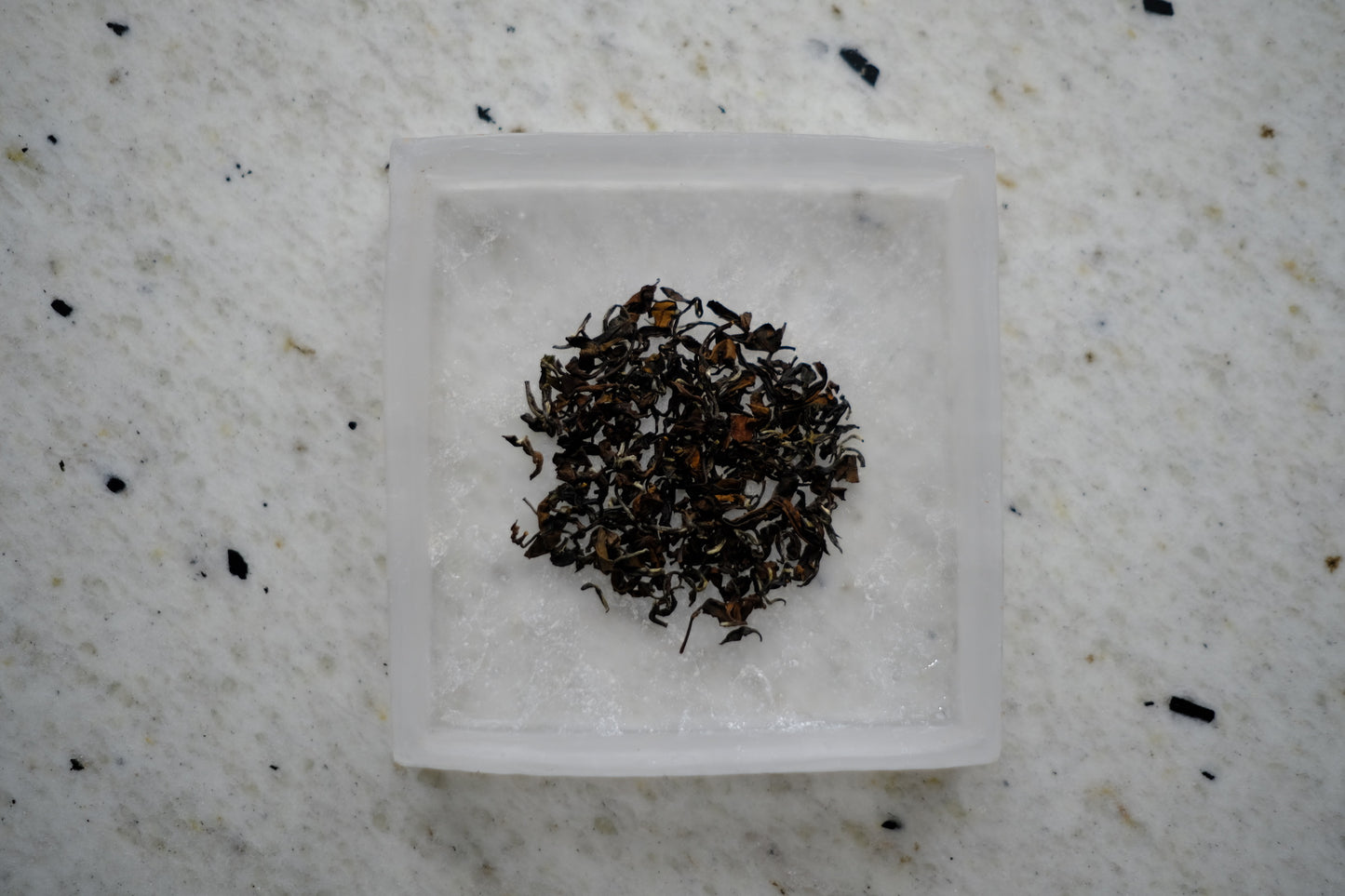 1000米烏龍茶